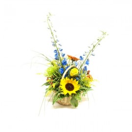 The soaring colors arrangement